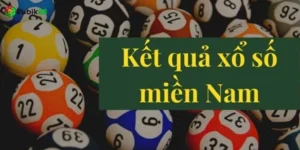 Ứng dụng giải mã số học miền nam vào cuộc sống