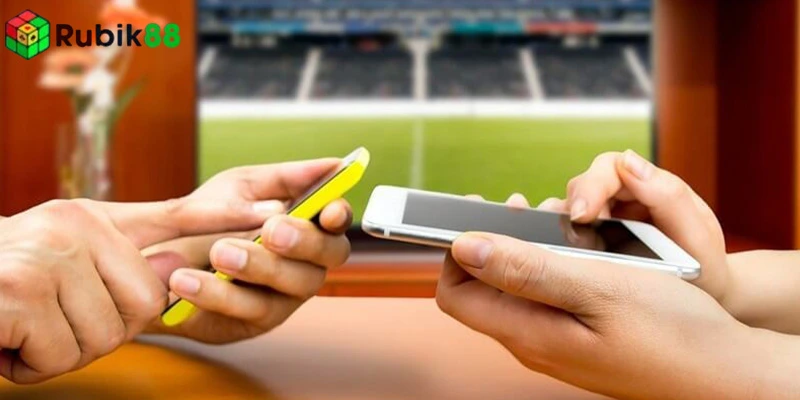 Vai trò của việc nhận biết tỷ lệ kèo