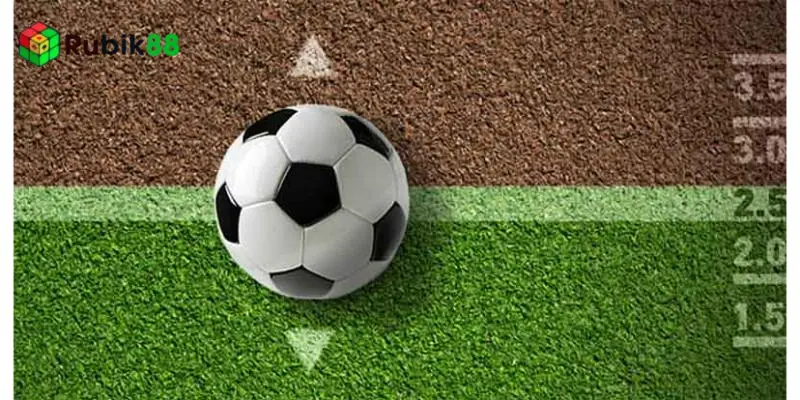 Bật mí tips xem kèo bóng đá chính xác nhất